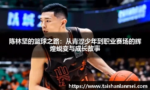 陈林坚的篮球之路：从青涩少年到职业赛场的辉煌蜕变与成长故事