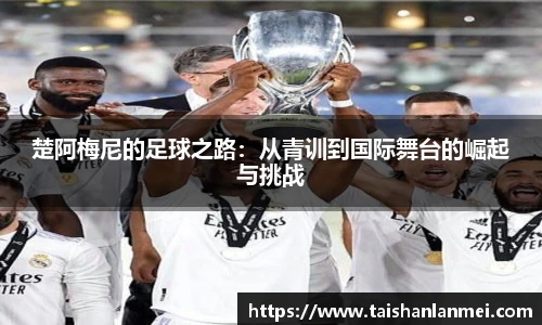 楚阿梅尼的足球之路：从青训到国际舞台的崛起与挑战